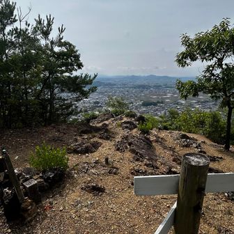 見晴らし良き✨

汗だくがずぶ濡れ状態🥵
小さい虫多い😭