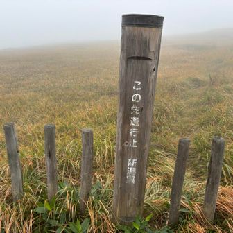山頂の木道のどん詰まり