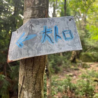 次のお目当て