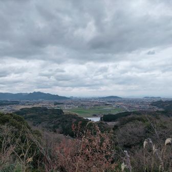 天気良かったら