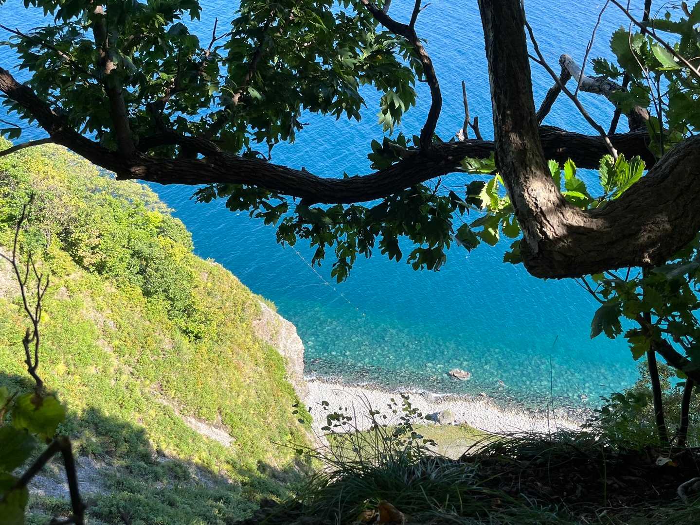 尻場山登山口-尻場山 往復コースの写真