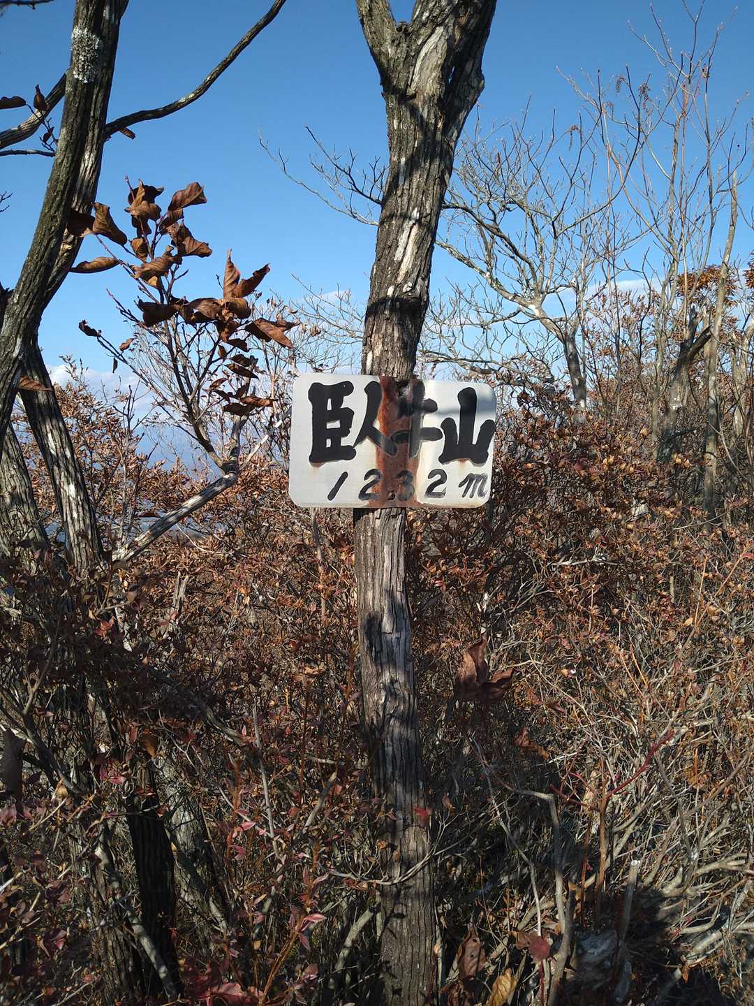 臥牛山 往復コースの写真