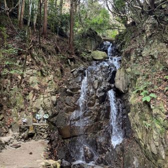 水量もばっちり
