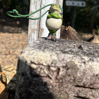 愛宕山の三角点取ったど〜！と誇らしげ🐸