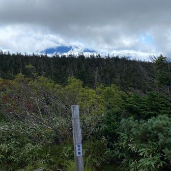 岩手山の周りは雲…