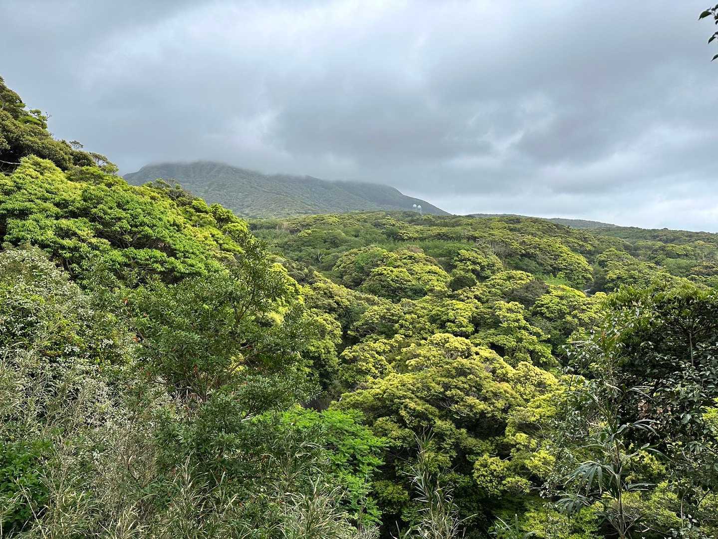 三原山も完全に雲の中ですね。