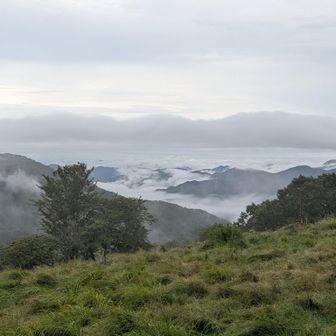 方塞山から、雲海げっと