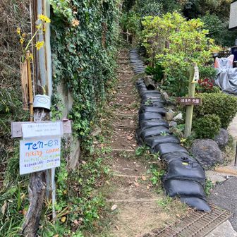 車道を渡ってしばらく歩くと天園ハイキングコースの入口に