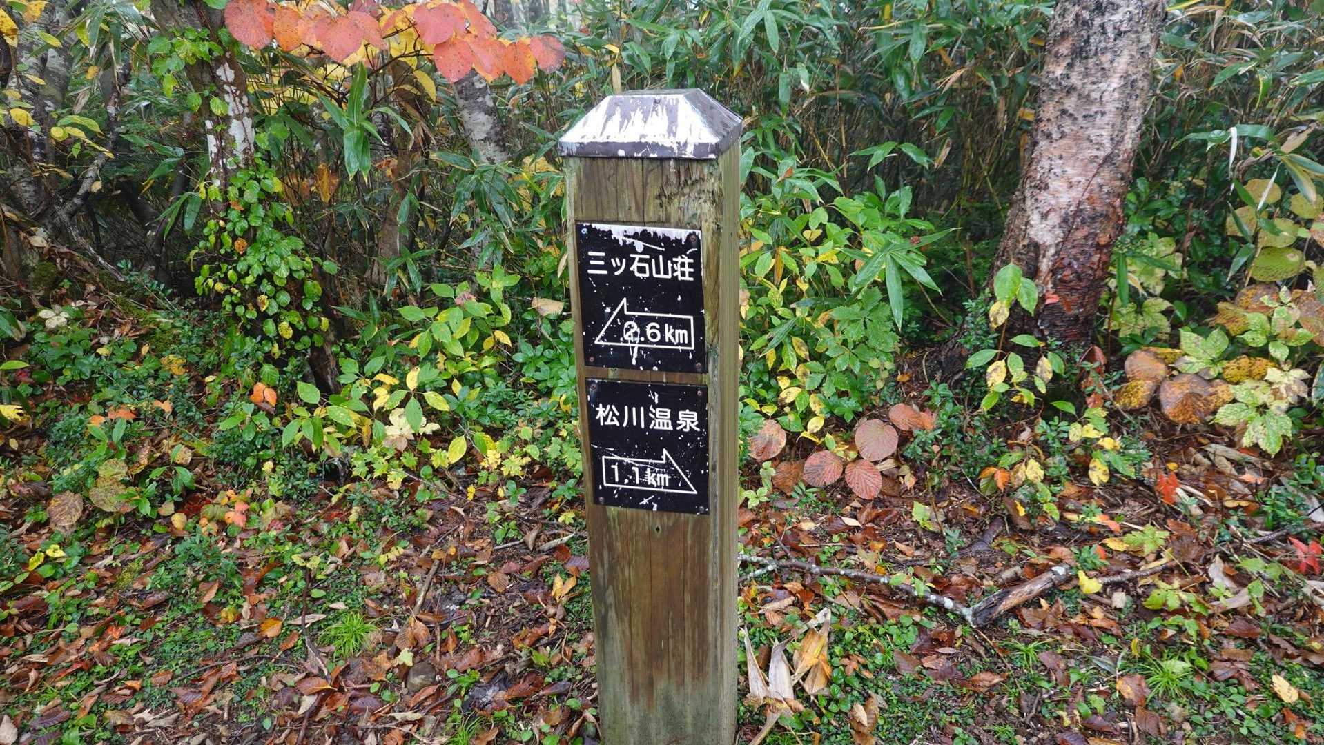 山荘まで2.6km