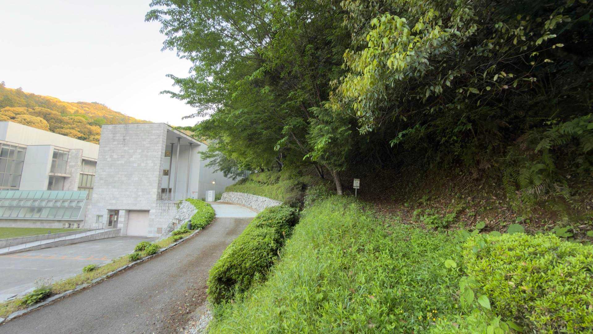 こちらからお山へ