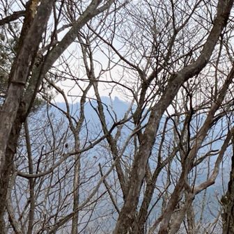 かろうじて木々の隙間から、兜岩山近くのローソク岩が確認できました！！(^^)