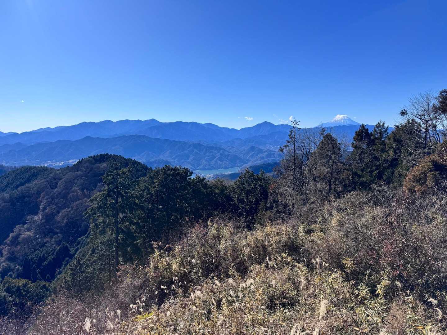 富士山・丹沢はキレイに見えたけど南アは全く見えず💦