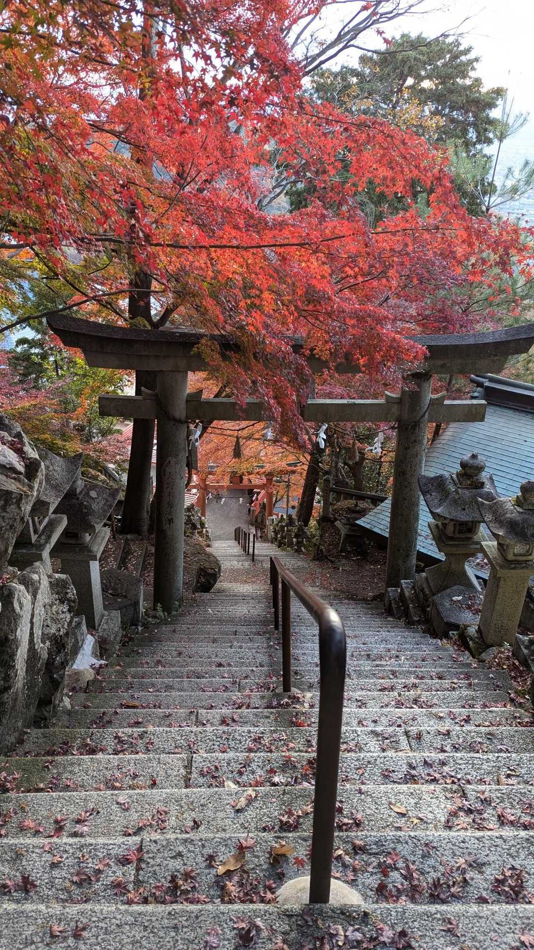 阿賀神社-太郎坊山-みつくり君休憩所-箕作山 往復コースの写真