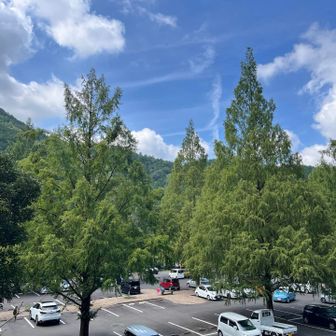 長雨から久しぶりの青空で気温も上昇💦
最後まで見て頂きありがとうございました🙇‍♂️
