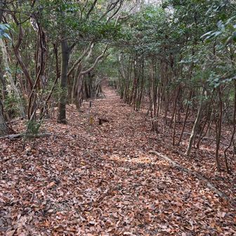 せっかくなので隣の兎荷山まで