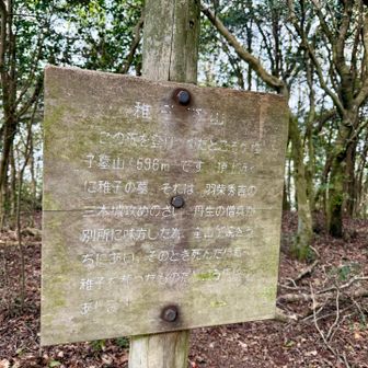 稚児ヶ墓山　山の名前にすると後世まで語り継がれる