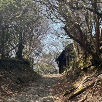 若干登りに疲れつつ八丁池に到着