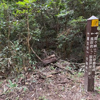 同じルートで帰るの好きじゃ無いので、黒五谷の方から下山します。久し振り☺️