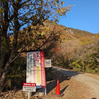 登山道！観光で来られてる家族連れやカップルの方が沢山。ブーツの方も😨
ザック背負ってるのは私達だけ🤣