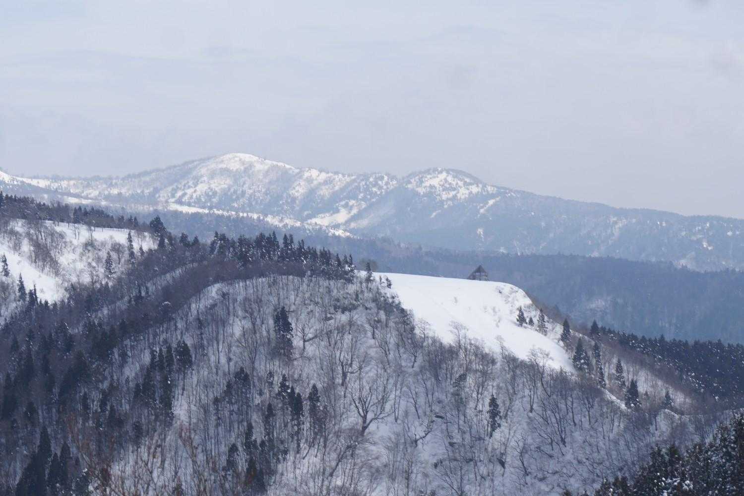 ブナの谷頭の後ろは恩原高原から続く尾根