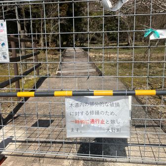 あれ？木道の破損がみつかり通行止めに。
ありゃりゃ。
迂回路の指示は特にありません。😵