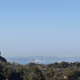 海が見えると嬉しい埼玉県民🌊