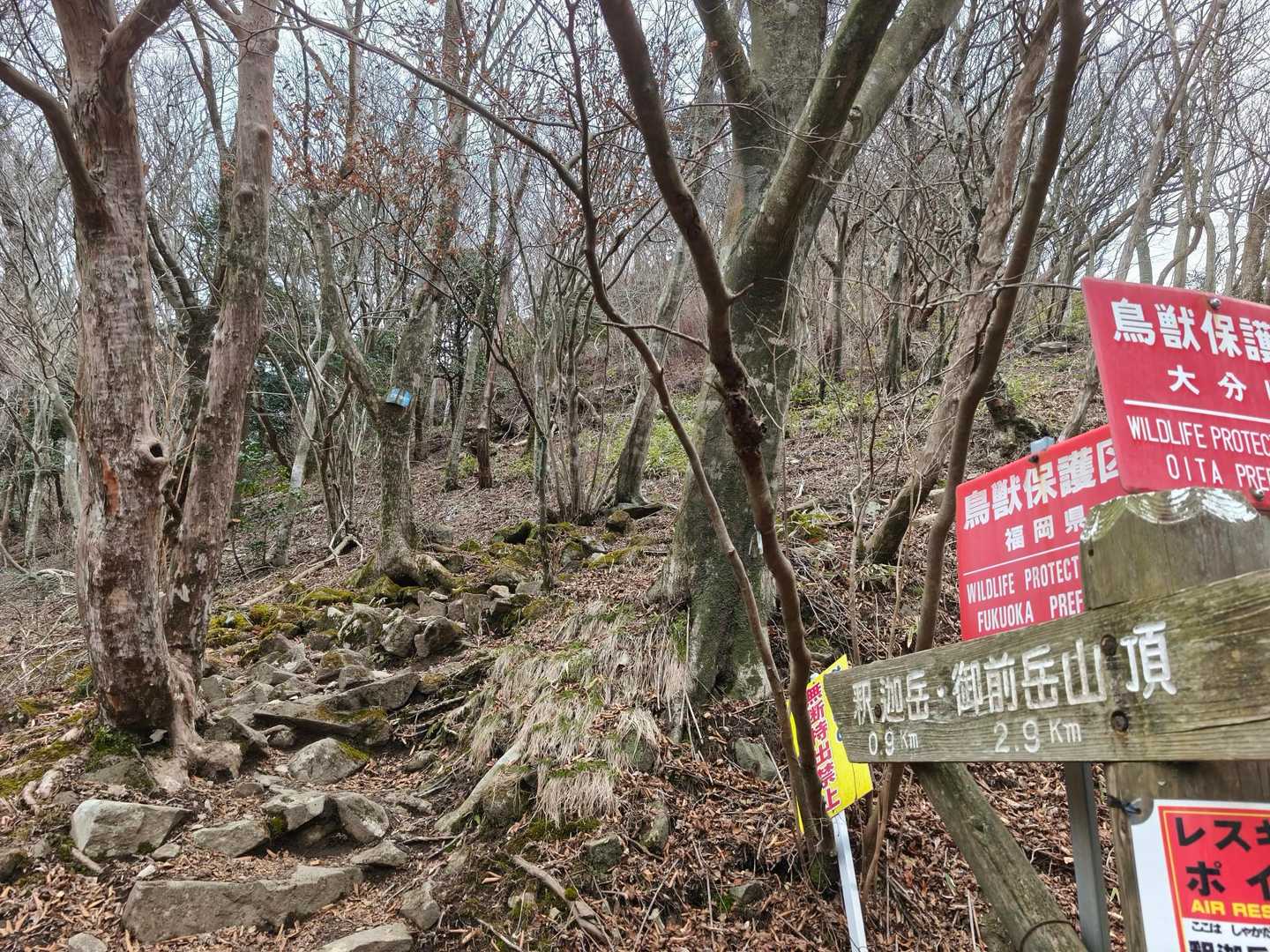 お初の矢部越登山口からSTART
思いの外寒い🥶