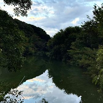                                   三井池

                撮り忘れてたので帰りに 📸ﾊﾟｼｬﾘ！

                      あ、🩵お天気回復かな？☺️
