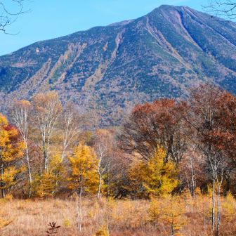 戦場ヶ原からの絶景