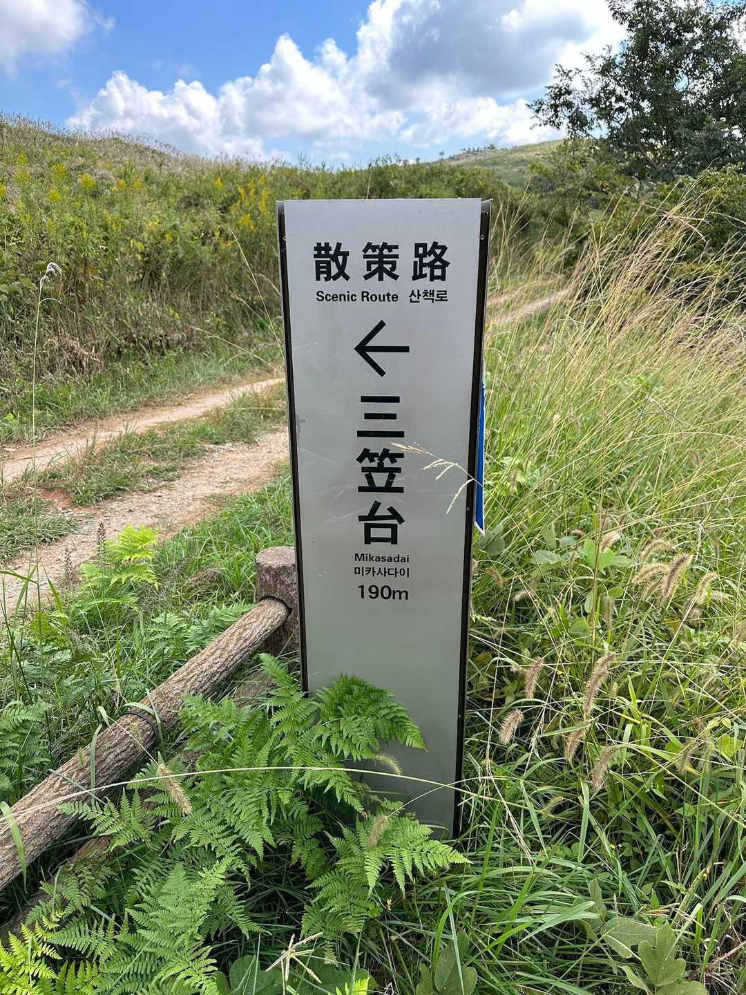 先ずは三笠台へ