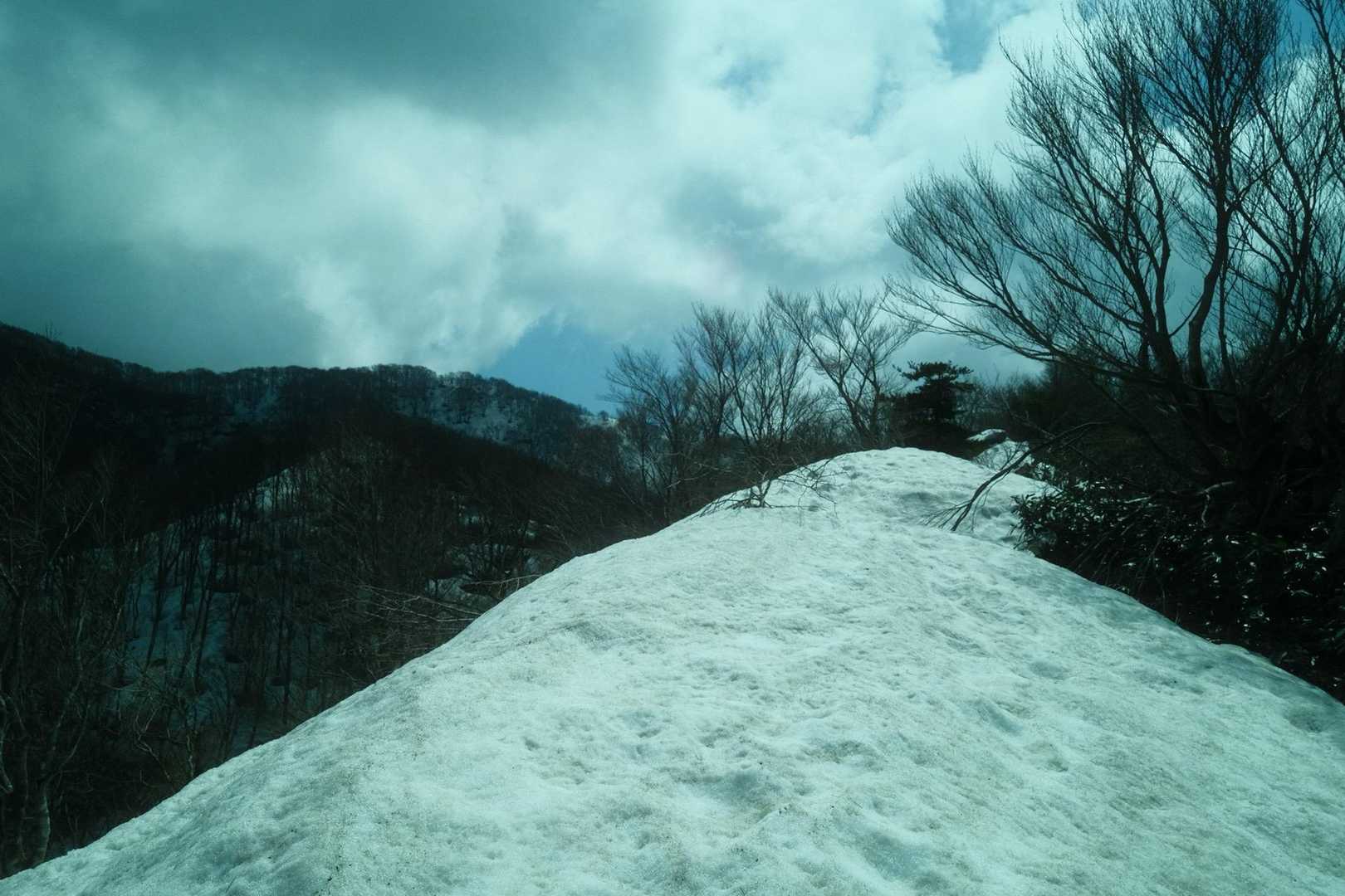 我谷登山口-小リス平-富士写ヶ岳 往復コースの写真