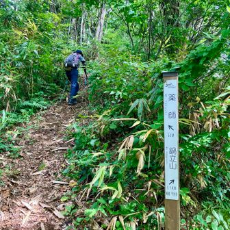 山頂まで残り50m、中々の急登です。
右に進むと鍋立山に行きます。
