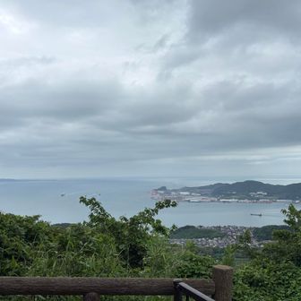 東屋から海を眺める
どんよりだけど良い景色