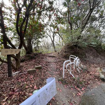 遊歩道で下ります
