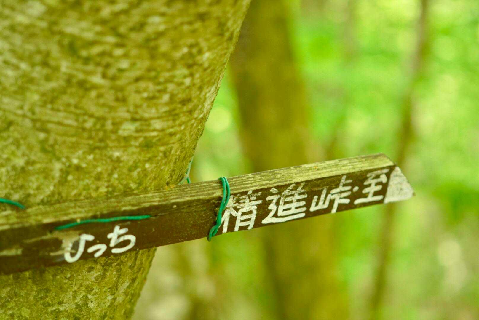 ひっち？