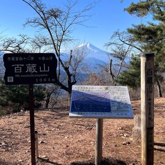 この手前が今回1番の急登＋落ち葉で苦戦しました