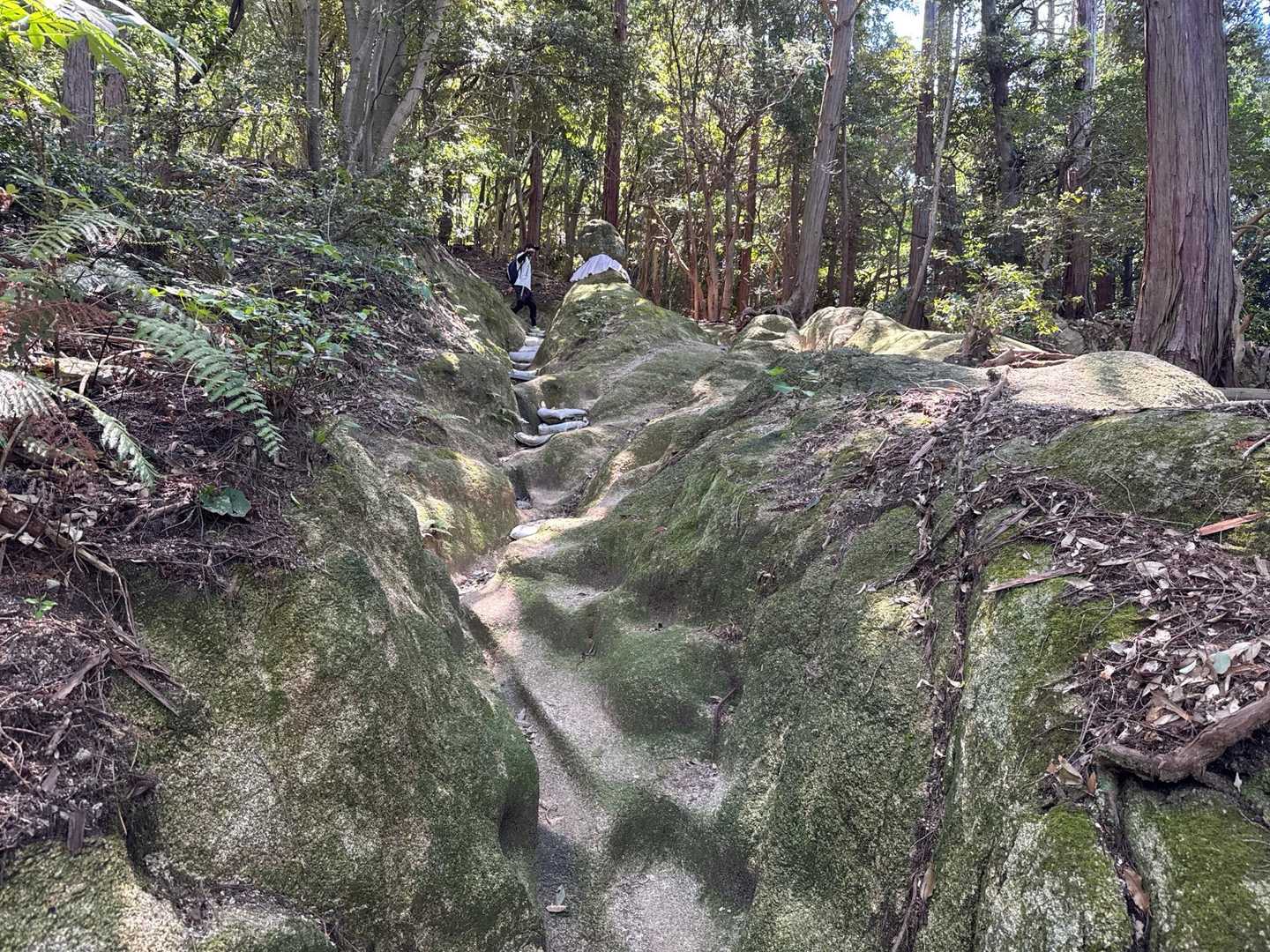 上の岩🪨安定しとるよね👍
