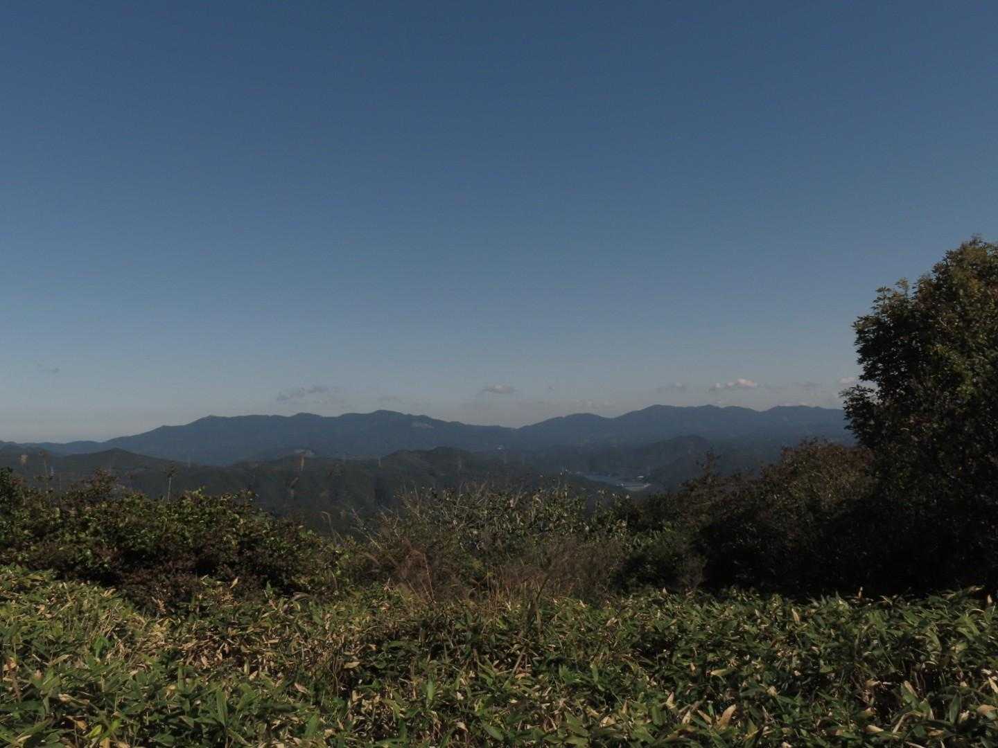 樹林帯を抜けると空が広がって…