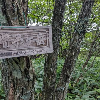 烏帽子ヶ岳山頂