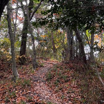 44　踏割石山　278.7m
No.26