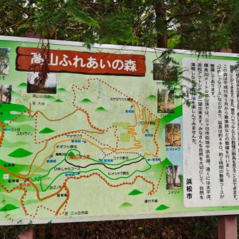 地図🗺