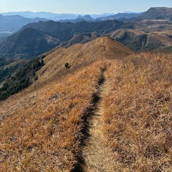 思わず笑顔になってしまう
気持ちの良いトレイルを進みます