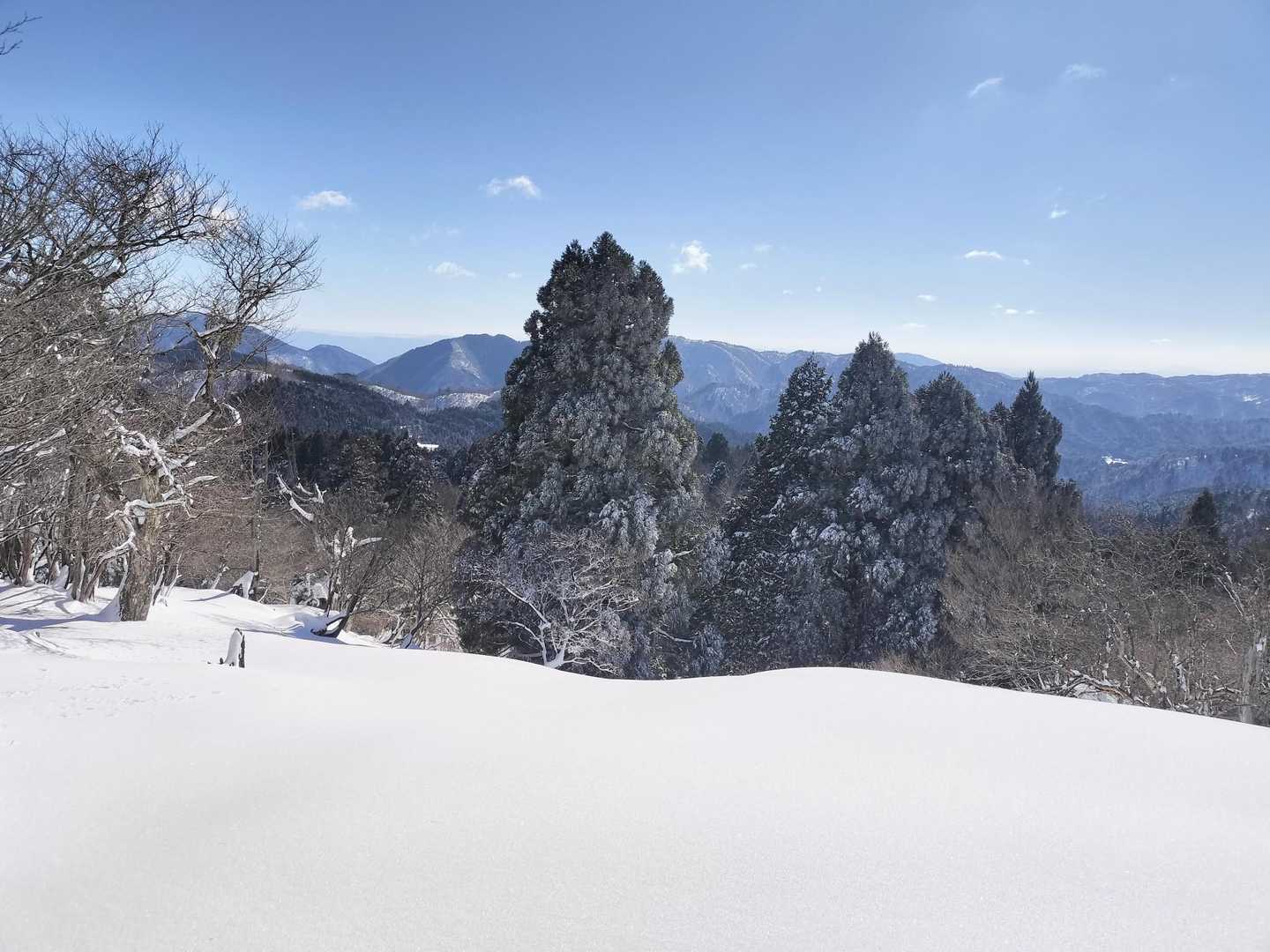 山頂に着きました