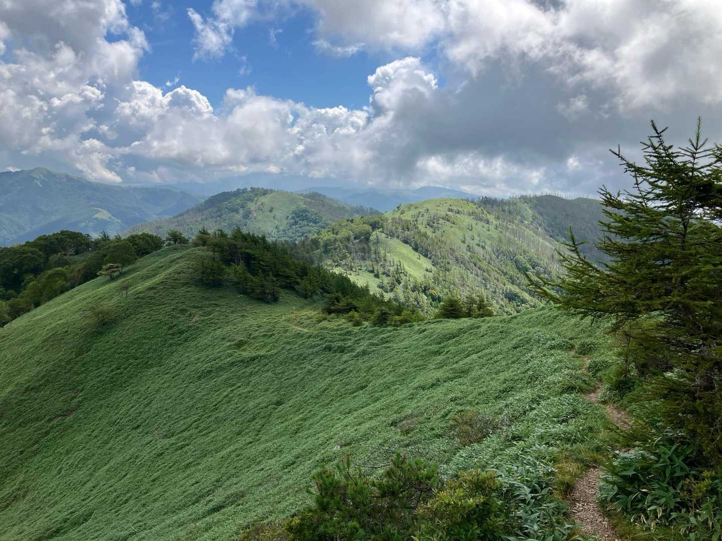 これから向かう稜線がキレイに見渡せます😃
子供のころに描く山の形に似た美しさ✨
お気に入りになりました♪
一番奥が二ツ山かな？