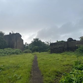 神武寺山へー。
雰囲気いいな。