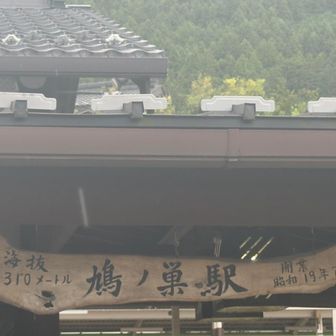 鳩ノ巣駅に下山😮‍💨