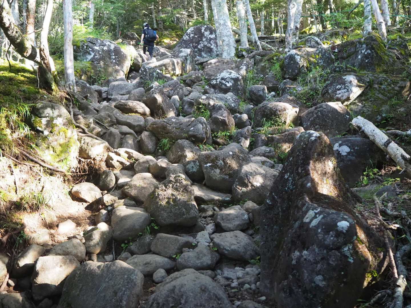 岩石ゴロゴロ登山道
快適には歩けない