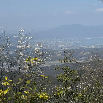 ここからの景色お花もあって綺麗だった😍
写真じゃイマイチかな😅