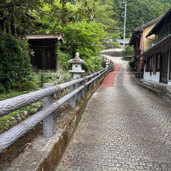 趣が良いですね♪