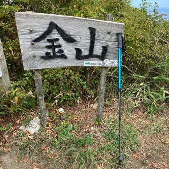 やっと着いた。金山967m
頂上はあまり広くありません。